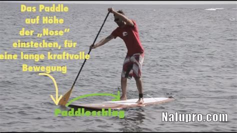 nackt paddeln|Hard Paddling Porn Videos